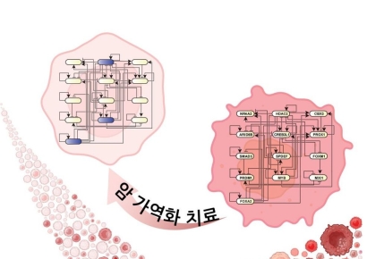 암세포를 정상세포로 되돌린다…KAIST 신기술 개발