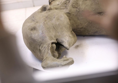 '손' 역할 긴 코까지 또렷이…5만년 전 '새끼 매머드' 사체 발견