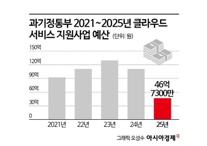 내년 중기 클라우드 서비스 보급 빨간불…관련 예산 '반토막'