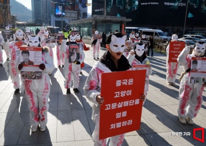 [포토] 동물권단체 케어, 중국 고양이 고문 살해 규탄 집회