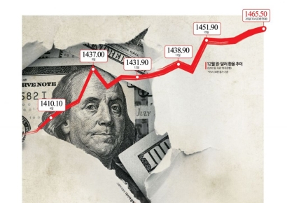 "환율 상승, 철근 등 수입 자재 비용 증가 …공급망 안정성 강화해야"
