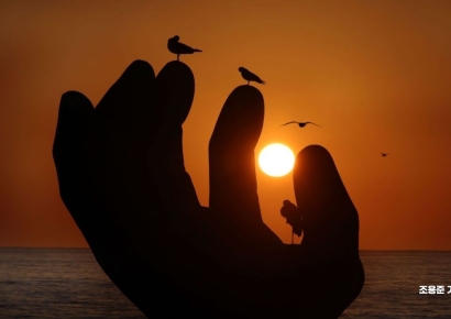 [포토] 힘차게 떠 오른 을사년 새해