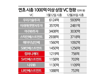 시총 1000억 이상 상장VC, 연초 대비 절반으로 '뚝'