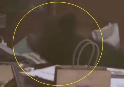 퇴근하고 왔더니 거실에 야생 곰이…러시아 아니었어?