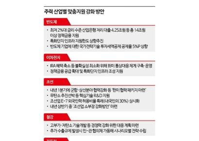 [2025 경제정책]美 선박 MRO 수요확대에 적극대응·반도체에 14조 정책금융 푼다