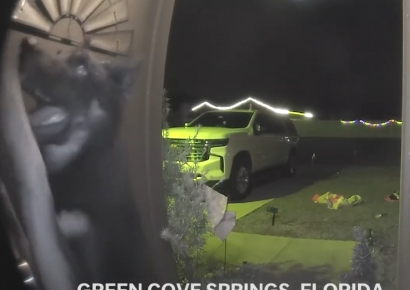 실종 반려견, 스스로 돌아와 초인종 눌러…"크리스마스의 기적"