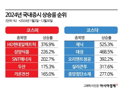 코스피 1등 HD현대일렉트릭…키워드는 ‘美시장 강타’[2024 급등주 결산]