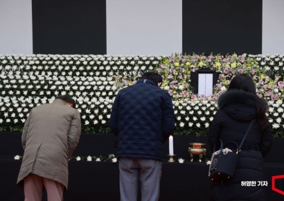 대만 찍고 일본 찍고…평균 14.4살 된 제주항공기, 한 달에 418시간이나 날았다