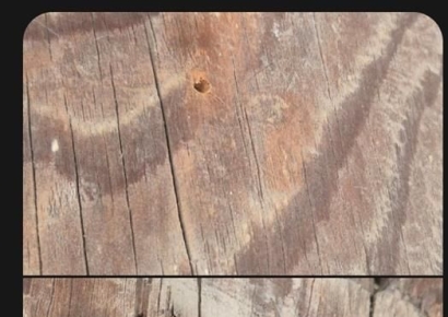 세계문화유산에 못질한 KBS 드라마팀, 경찰에 고발당해