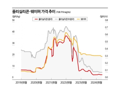 美 태양광 패널공장 매각한 中…트럼프 피해 전열 재정비