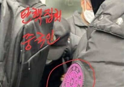 "중국인들이 탄핵 찬성집회 참여"…사진 공유한 김민전 의원 