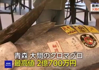 참치 한마리 가격이 무려 20억…日 새해 첫 경매서 잭팟 터졌다