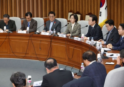 최상목 두고 엇갈리는 野 중진…추미애 "탄핵 고려" vs 박지원 "성급해"