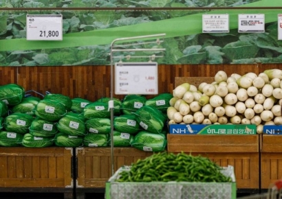 [포토] 설 물가 비상, '배추 58.9%-무 77.4% 상승'