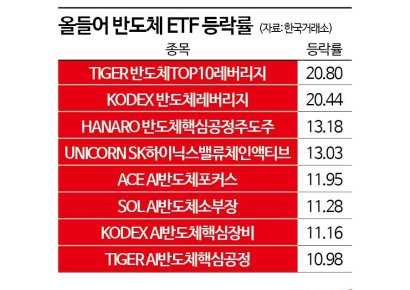 올해에만 20.8% '껑충'…잘나가던 이 종목, 삼성전자만 바라보는 까닭