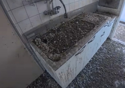 "역대급 청소 현장"…비둘기 떼 살다간 아파트 내부 '경악'