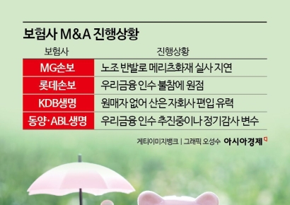 노조 반대에 당국 리스크까지…삐걱대는 보험사 M&A[Why&Next]