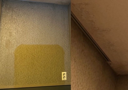 깨진 욕조에 곰팡이 가득한 벽지…주말 18만원 객실 상태 '충격' 