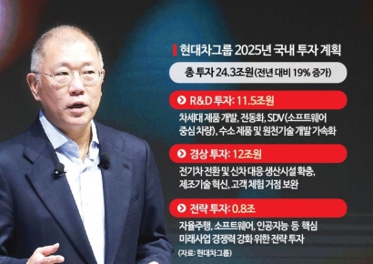 "불확실성 대비" 현대차그룹, 올해 역대 최대 국내 투자 '24조원'