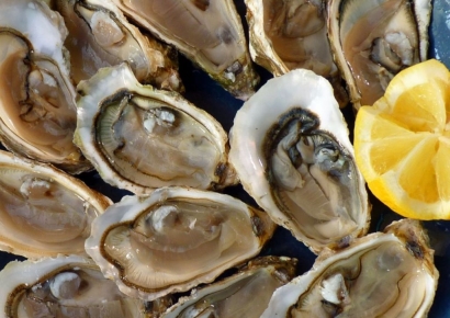 겨울철 불청객 노로바이러스…'굴 포비아' 언제부터?[뉴스설참]