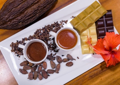 코코아 가격 급등에도 농민들 한숨 짓는 이유는