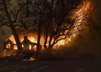 패리스 힐턴 집도 '화르르'…사흘째 이어진 LA산불, 피해 추정액만 73조