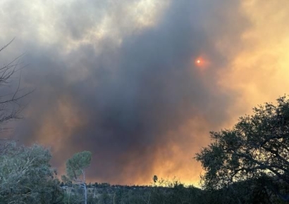 LA 산불로 멜 깁슨 집도 잿더미…할리우드 유명인 피해 잇따라
