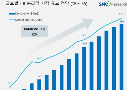 이차전지 분리막 시장, 10년후 19조로 커진다…공급과잉 우려도