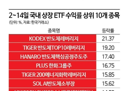 SK하이닉스 “땡큐”…모처럼 웃는 국내 반도체ETF