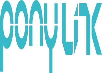 포니링크, 전환사채 153억 발행