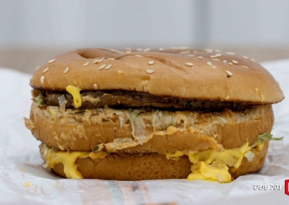 100일 지나도 썩지 않고 멀쩡한 빅맥…다른 버거와 차이점은 [햄버거 썩히기]⑥