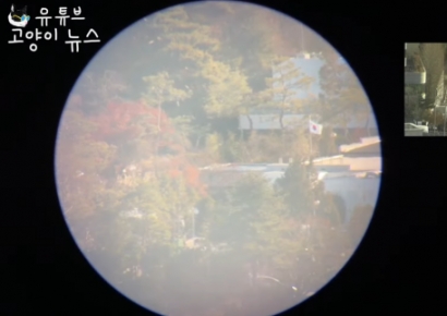 '尹 체포' 생중계 유튜버 "하루 만에 2600만원 후원금 터졌다"