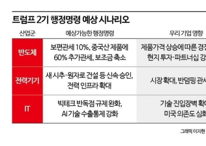 "미국에 공장 짓든지 관세 감수하든지"…'현지화·외교 대응' 관건[트럼프 2기 D-3]