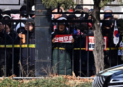 '尹 구속심사' 서부지법 담 넘어 무단침입…17명 체포