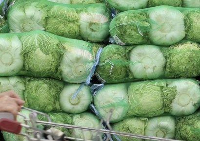 "가격 안정 체감 힘들어"...정부가 배추 풀면 설 물가 잡힐까