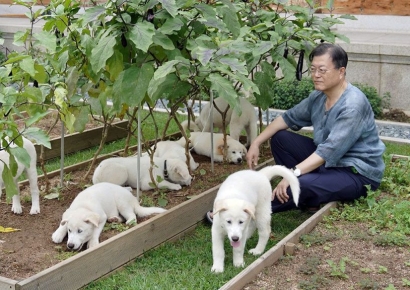 김웅, '尹 토리 입양' 박지원 겨냥 "文이 버린 개나 입양하라"