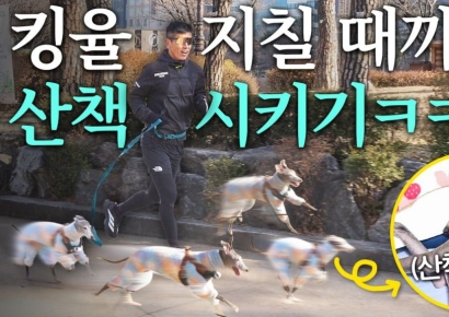 캐시워크, 하루 6000보 걷기 챌린지 개최