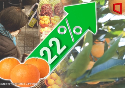 감귤 가격 22% '쑥'…생산자물가 두 달 연속 상승 