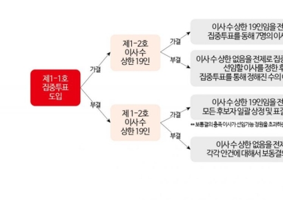 가처분 인용에…최윤범 고려아연 경영권 수성 '가시밭길'(종합)