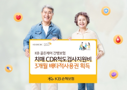 KB손보, 치매중증도 평가검사 배타적사용권 획득…"사회적비용 절감기여"