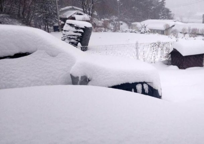 "하룻밤 새 30㎝ 넘게 쌓였다"…설 앞두고 '눈폭탄' 대피령까지