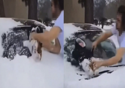 3개월 아기로 눈 덮인 차 유리 닦은 유튜버…"이건 끔찍하다"