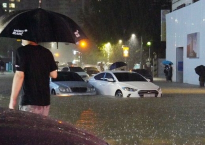 정상인 척 국내 들어오면 어쩌려고…침수차 수출 재개 논의에 '시끌'