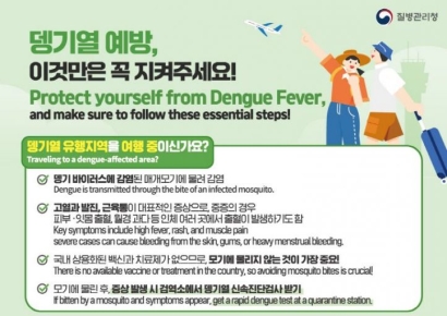 해외유입 모기매개 감염병 ‘뎅기열’… 포항시, 예방관리 강화