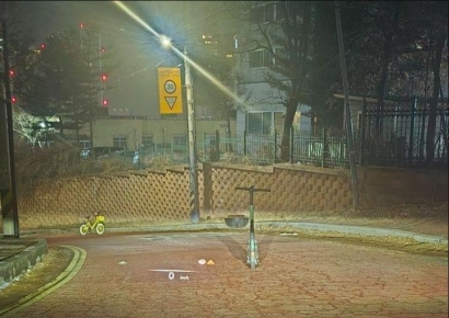 도로 알박기 전동킥보드는 사고유발자…"제발 법 좀 만들어주세요"