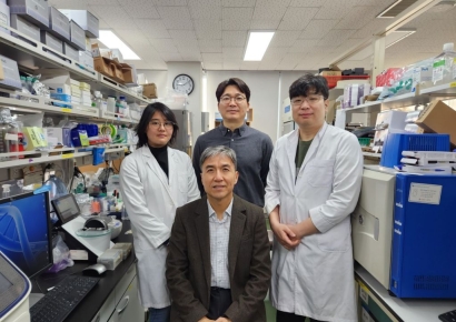 '바로 지금이야'…암세포→정상세포 되돌릴 '스위치' 포착한 韓연구진