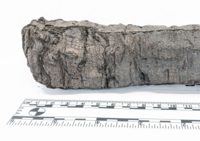 2천년 전 불탄 고대 두루마리, AI가 해독했더니…"역겹다" 적혀