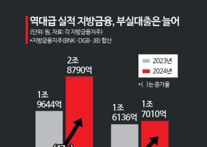 역대 최대 실적에도 부실대출 47%나 증가한 지방금융