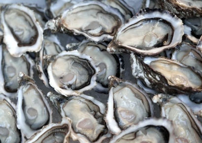 '10년 내 최고 수준' 유행에 재감염도 흔해…비상 걸린 '노로바이러스' 