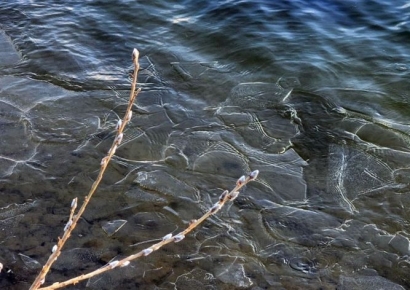 [포토] 녹아 내리는 입춘한파 